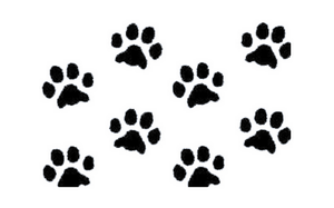 Yavapai College Canine Certification Program 